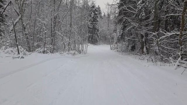 Лыжный спорт ⛷️🇷🇺