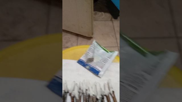 1000017899.mp4