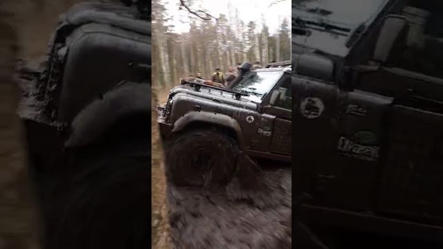 Defender в деле
