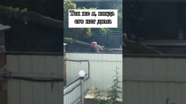 Жиза😂