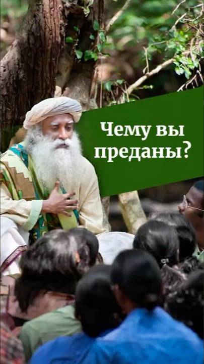 Чему вы преданы?