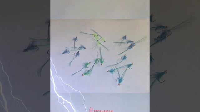 1000016407.mp4
