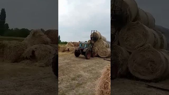 самодельный кун