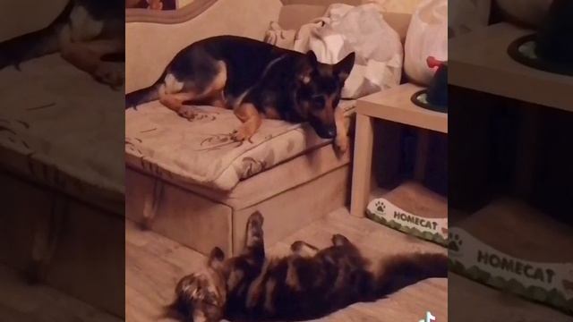 1000003537.mp4