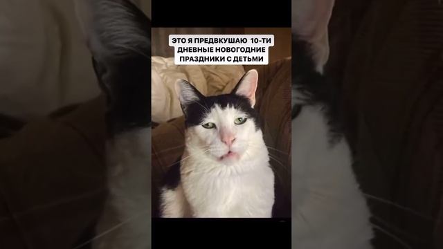 Мамочки, Вы как, готовы?😂