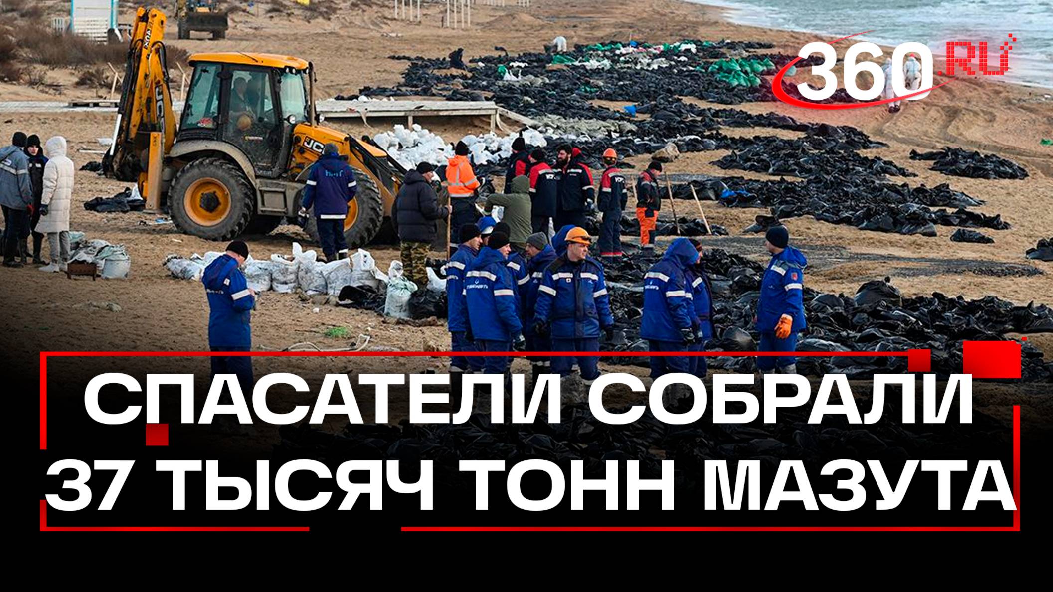 37 тыс. т грунта с мазутом собрали спасатели с берегов Чёрного моря. Погибли 20 дельфинов