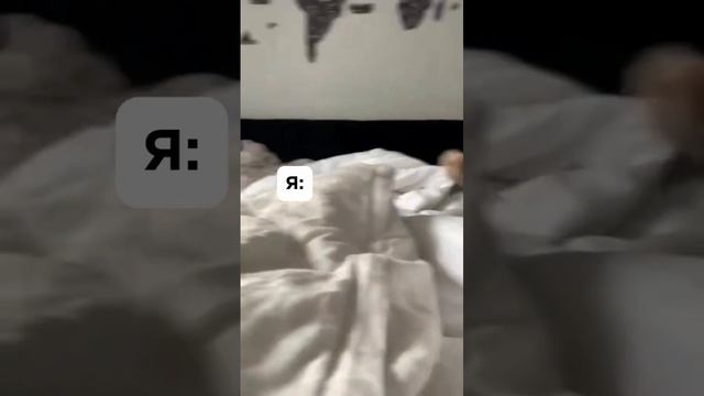 КАПУЧИНО ИЛИ РАФ?🐕