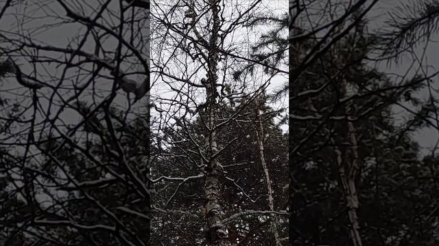 1000101234.mp4
