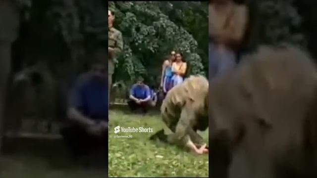 Система боевого выживания Кадочникова. Ученики В.В. Струтинского (ученик Кадочникова) #army#military