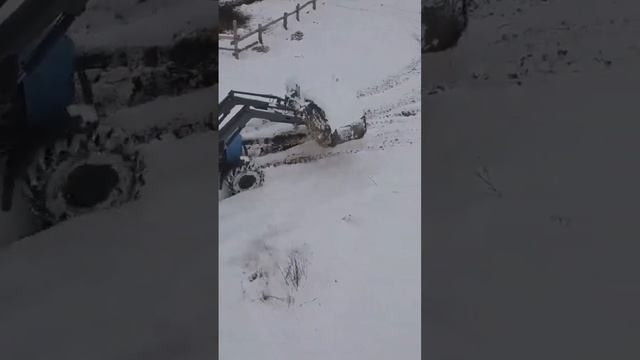 каждая буренка будет накормленна и поцелованна
