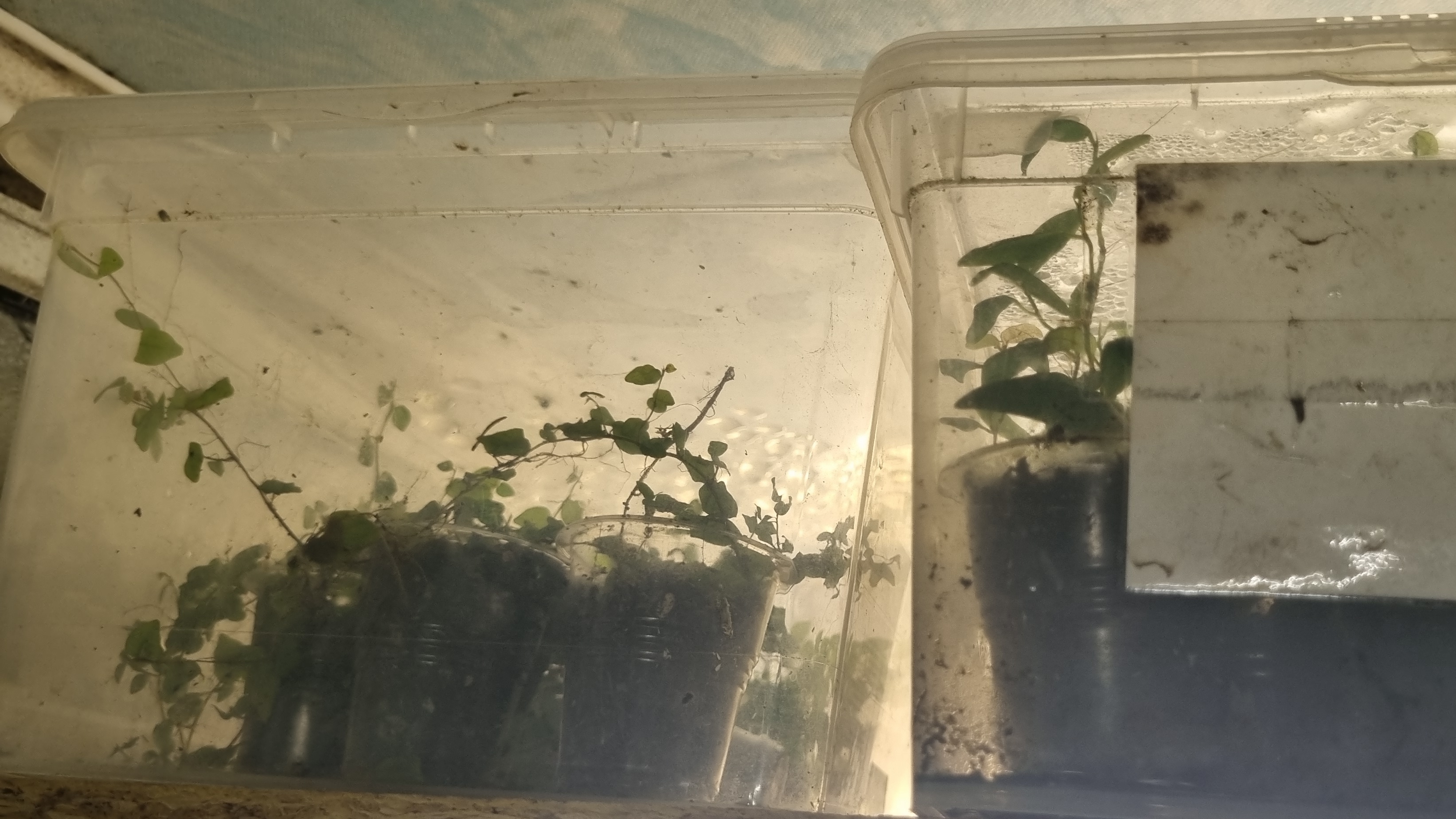 Обзор контейнеров