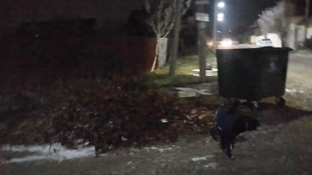 Зима прошла:) Готовим вопросы к стриму. МАВР ЗДОРОВ и может ехать в  семью!