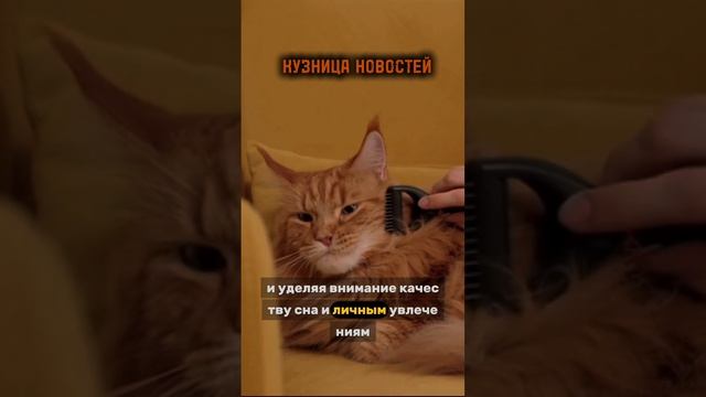 10"Медленная жизнь: новый тренд, который меняет всё! Вы готовы к переменам?"