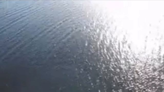 SVID_20241129_203216_1.mp4