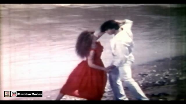 CHANDI 1993 - SHAAN  REEMA - OFFICIAL PAKISTANI MOVIE