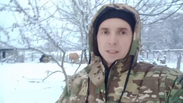 Скотоводство загинается. Может ли она выжить?