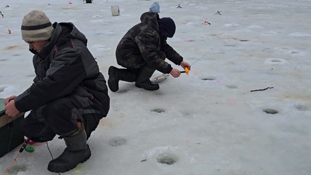 28.12.24 г. запуск 100 кг.