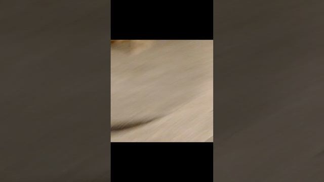 VID_20241228_221720.mp4