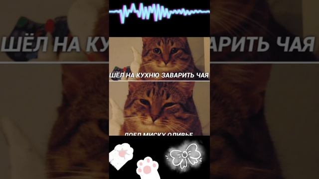 МеМ ДнЯ