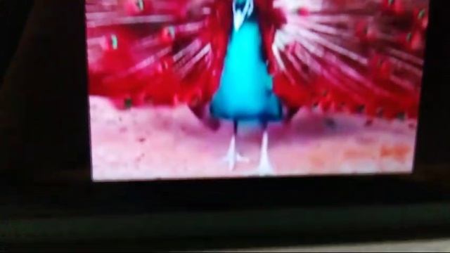 VID-20241127-WA0004.mp4