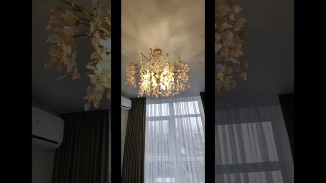 lv_0_20241227151423.mp4