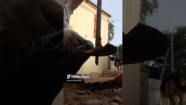 31 июля 2024 г. (3).mp4