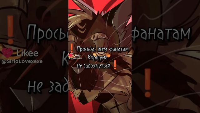 кв топ