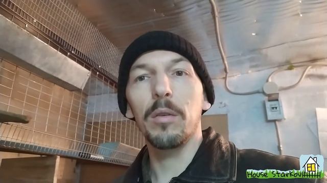 Переезд минимясных цыплят в курятник. Продолжение строительства клеток.