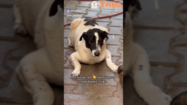 НУЖНА ПОМОЩЬ!!!