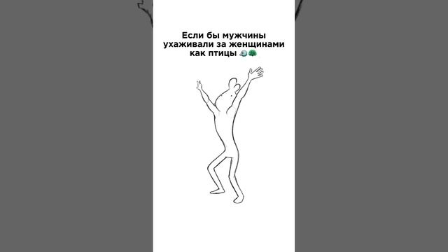 Не голуби, а орлы!😀😀😀