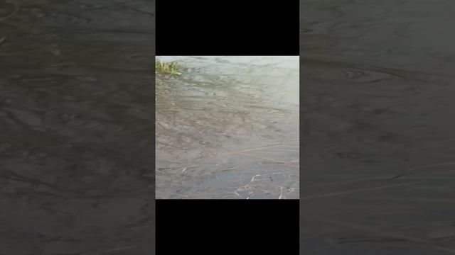 Берегите природу