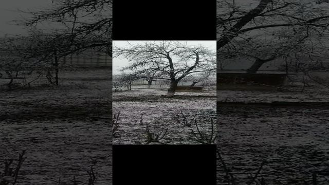 VID_20241228_105601.mp4