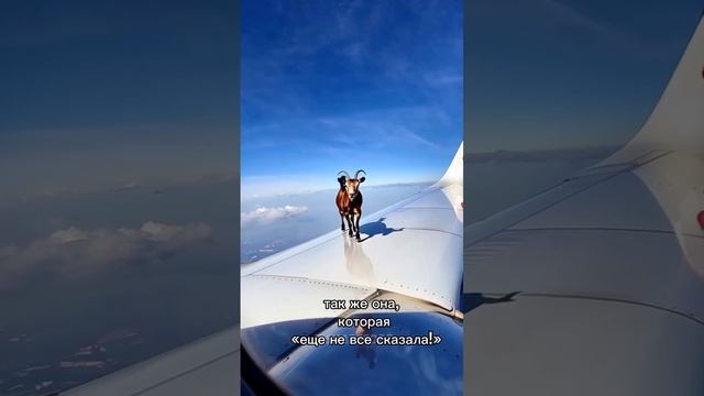 во даёт
