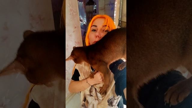Видали, что этот главный возбудитель порядка вытворяет? 😁😁