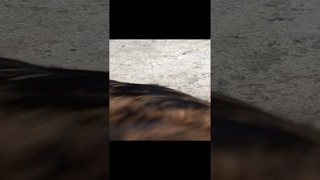 1000000531.mp4