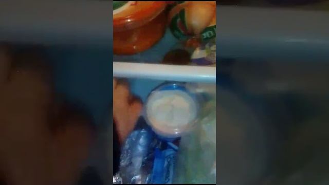 Видео 2024-12-27 в 09.51.45.