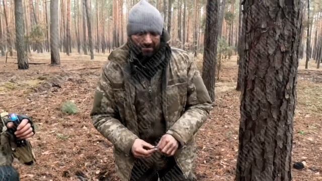 Пленный в наших добрых лапках