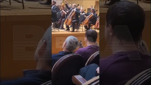 ОВЧАРКА СЛУШАЕТ СИМФОНИЧЕСКИЙ ОРКЕСТР