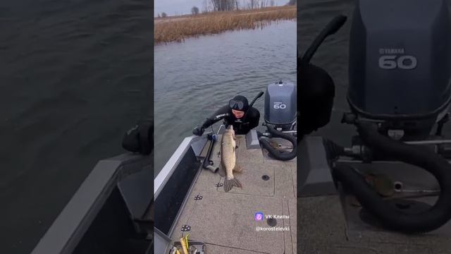 скоро !! #моехобби