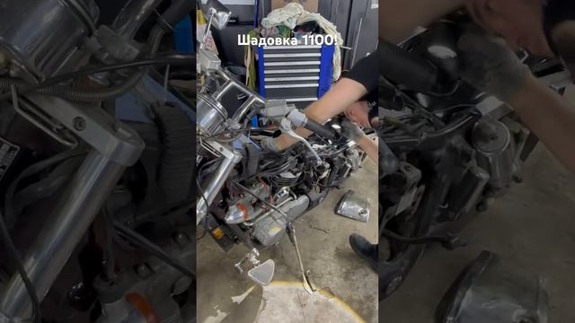 #automobile #питбайк #мопед #топ #smartphone #обзор #альфа