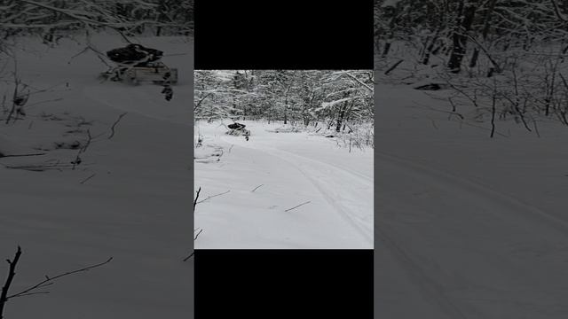 Мотособака