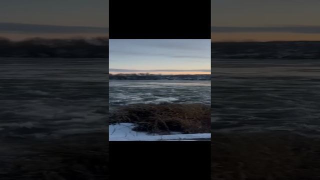 Липецкая область природа