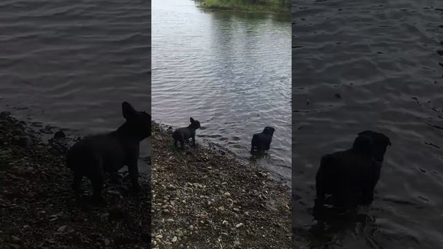 Первый раз купаемся в озере…