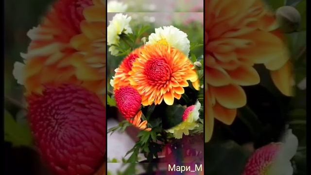 ЦВЕТОЧНОЕ НАСТРОЕНИЕ
