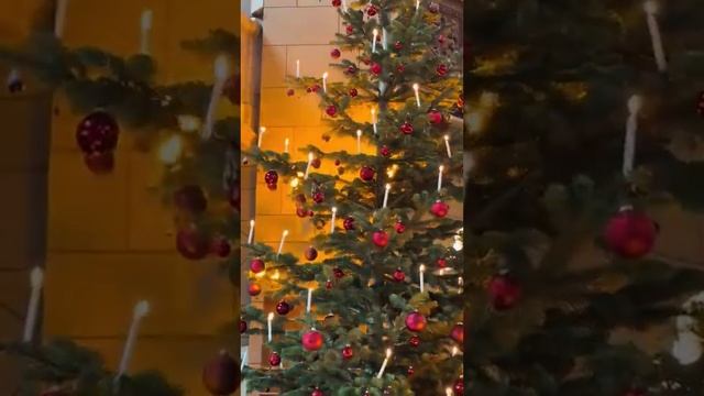 Swiss New Year,s tradition 🌲