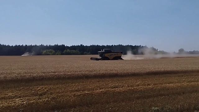 первый день осени