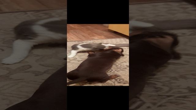 1000115537.mp4