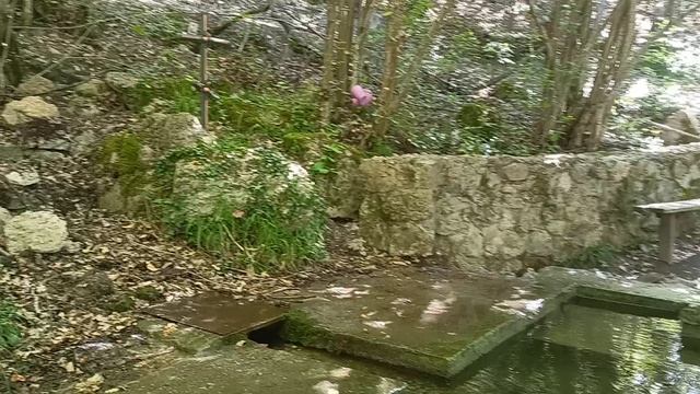 2024.09.29 - Источник Костюмы и Дамиана, село Высокое