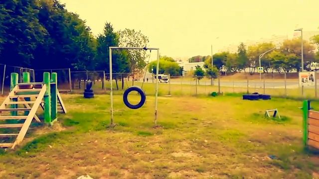 1000160653.mp4