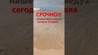 СРОЧНО!!!НАШЕСТВИЕ МЕДУЗ!ГОЛУБИЦКАЯ СЕЙЧАС/21 ИЮЛЯ #азовскоеморе #голубицкая #медузы #срочно